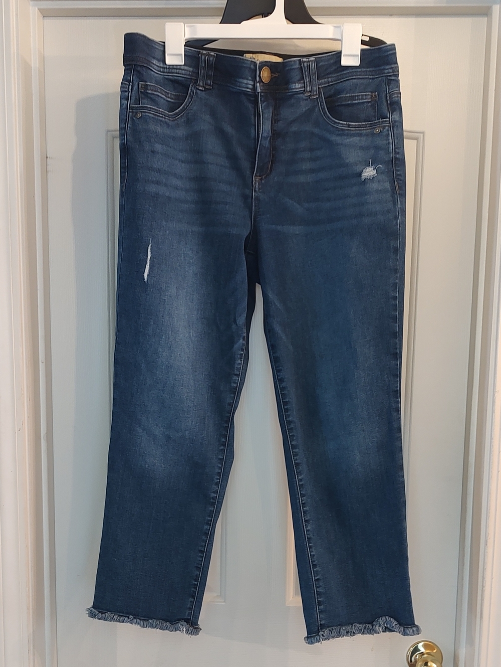 Democracy Dark Wash Cropped Straight Jeans - Blue